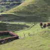¿Busca finca en Villeta? ¿Busca finca en Villeta?